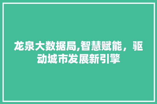 龙泉大数据局,智慧赋能，驱动城市发展新引擎