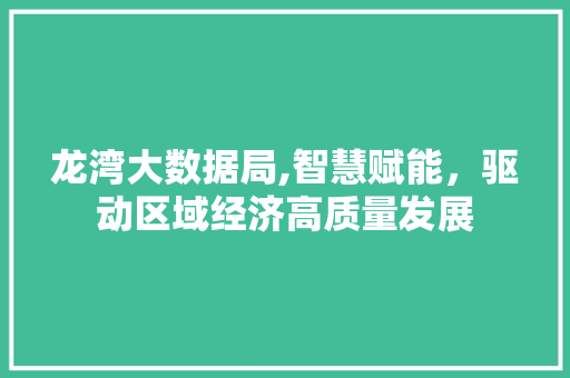 龙湾大数据局,智慧赋能，驱动区域经济高质量发展