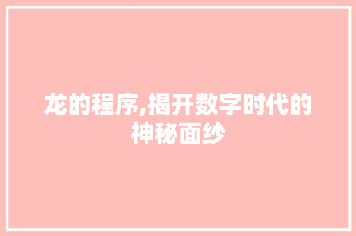 龙的程序,揭开数字时代的神秘面纱