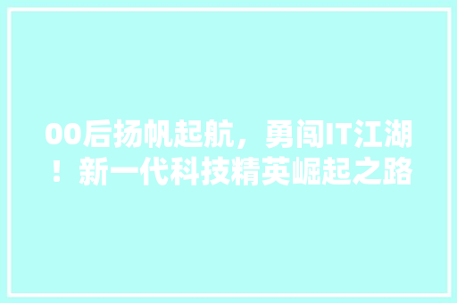 00后扬帆起航，勇闯IT江湖！新一代科技精英崛起之路