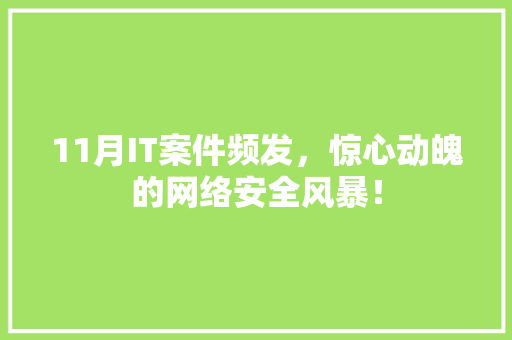 11月IT案件频发，惊心动魄的网络安全风暴！