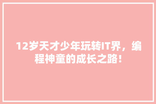 12岁天才少年玩转IT界，编程神童的成长之路！