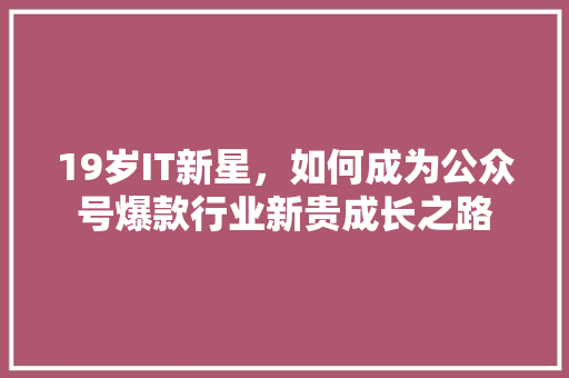 19岁IT新星，如何成为公众号爆款行业新贵成长之路