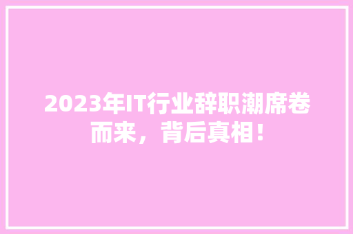 2023年IT行业辞职潮席卷而来，背后真相！ 网站开发