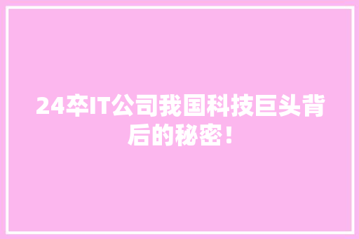 24卒IT公司我国科技巨头背后的秘密！