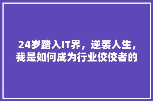 24岁踏入IT界，逆袭人生，我是如何成为行业佼佼者的