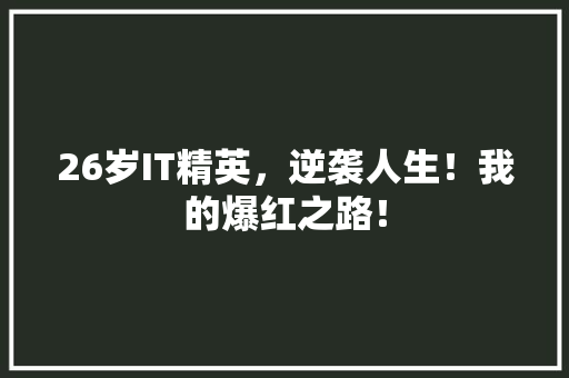 26岁IT精英，逆袭人生！我的爆红之路！