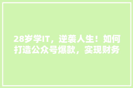 28岁学IT，逆袭人生！如何打造公众号爆款，实现财务自由