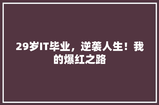 29岁IT毕业，逆袭人生！我的爆红之路