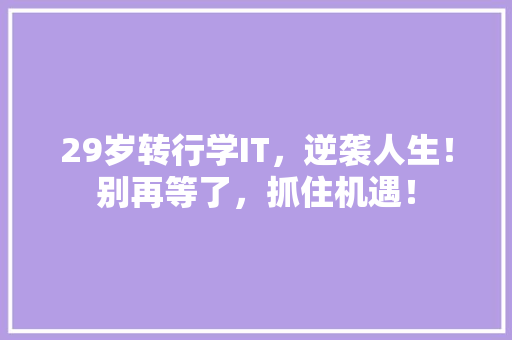 29岁转行学IT，逆袭人生！别再等了，抓住机遇！