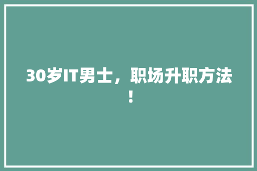 30岁IT男士，职场升职方法！