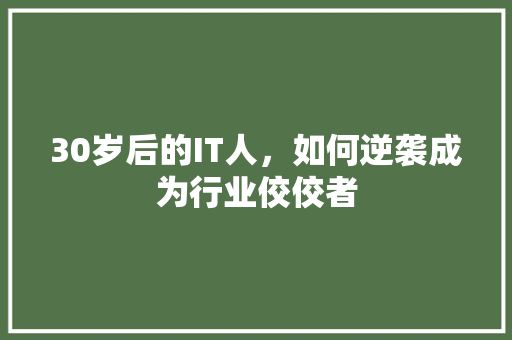 30岁后的IT人，如何逆袭成为行业佼佼者 头条优化
