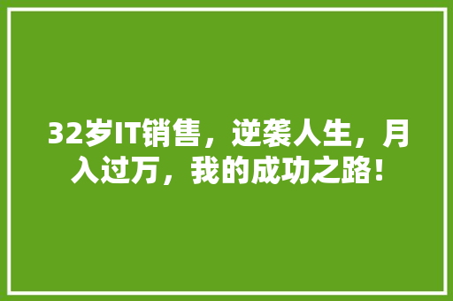 32岁IT销售，逆袭人生，月入过万，我的成功之路！