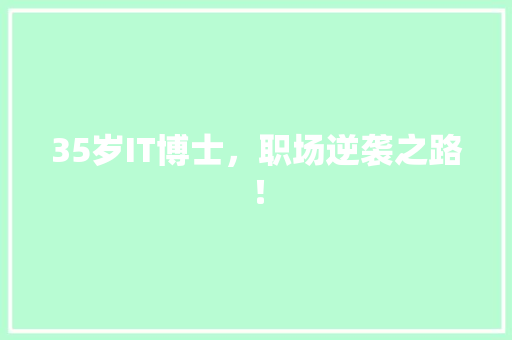 35岁IT博士，职场逆袭之路！