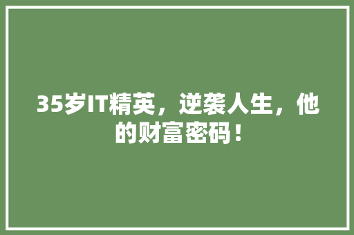 35岁IT精英，逆袭人生，他的财富密码！ 360搜优化