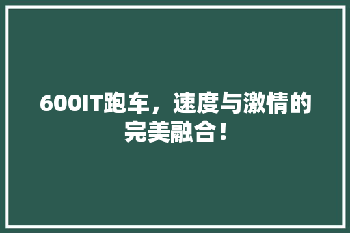 600IT跑车，速度与激情的完美融合！ 360搜优化
