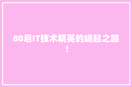 80后IT技术精英的崛起之路！