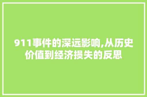911事件的深远影响,从历史价值到经济损失的反思 911事件的深远影响,从历史价值到经济损失的反思 百度算法