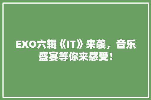EXO六辑《IT》来袭，音乐盛宴等你来感受！