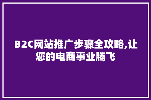 B2C网站推广步骤全攻略,让您的电商事业腾飞