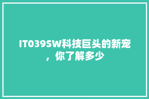 IT039SW科技巨头的新宠，你了解多少