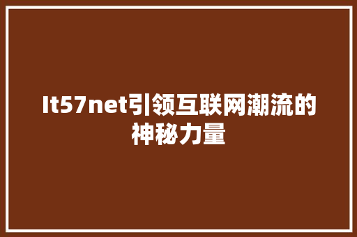 It57net引领互联网潮流的神秘力量 seo技术