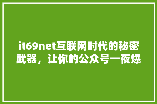it69net互联网时代的秘密武器，让你的公众号一夜爆红！