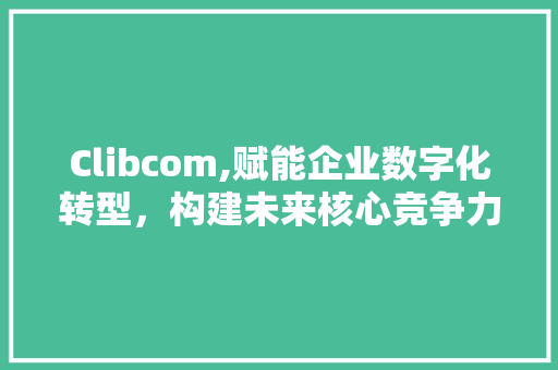 Clibcom,赋能企业数字化转型，构建未来核心竞争力