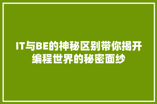 IT与BE的神秘区别带你揭开编程世界的秘密面纱
