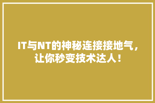 IT与NT的神秘连接接地气，让你秒变技术达人！