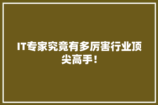 IT专家究竟有多厉害行业顶尖高手！ AI技术学习