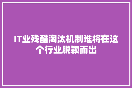IT业残酷淘汰机制谁将在这个行业脱颖而出