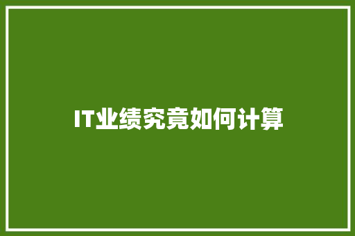IT业绩究竟如何计算 360搜优化