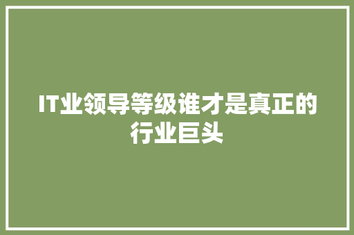 IT业领导等级谁才是真正的行业巨头