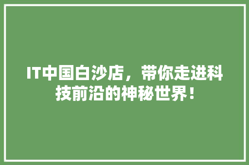 IT中国白沙店，带你走进科技前沿的神秘世界！