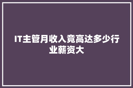 IT主管月收入竟高达多少行业薪资大 网站优化