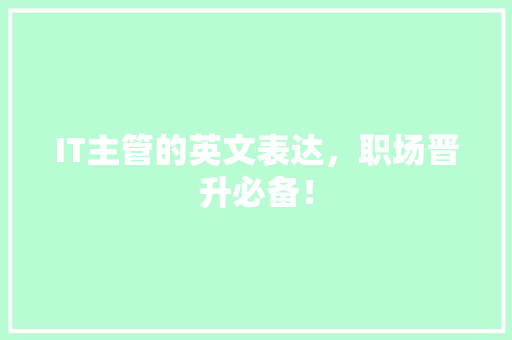 IT主管的英文表达，职场晋升必备！