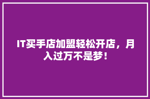 IT买手店加盟轻松开店，月入过万不是梦！