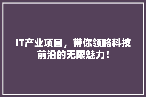 IT产业项目，带你领略科技前沿的无限魅力！