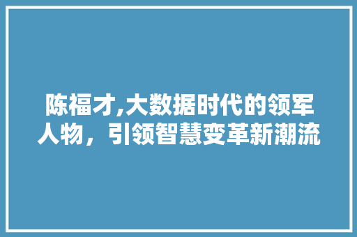 陈福才,大数据时代的领军人物，引领智慧变革新潮流 AI技术学习