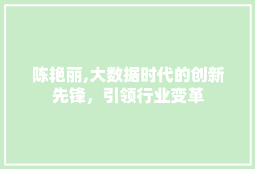 陈艳丽,大数据时代的创新先锋，引领行业变革
