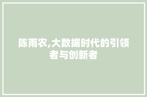 陈雨农,大数据时代的引领者与创新者