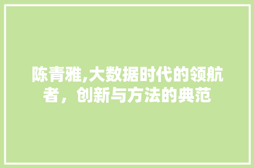 陈青雅,大数据时代的领航者，创新与方法的典范