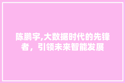 陈鹏宇,大数据时代的先锋者，引领未来智能发展