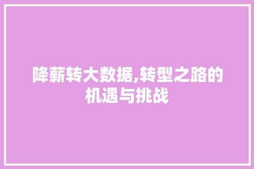 降薪转大数据,转型之路的机遇与挑战