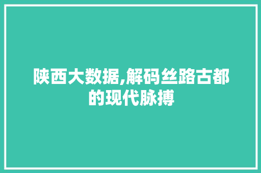 陕西大数据,解码丝路古都的现代脉搏
