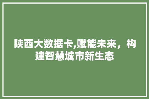 陕西大数据卡,赋能未来，构建智慧城市新生态