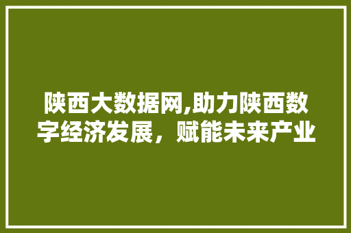 陕西大数据网,助力陕西数字经济发展，赋能未来产业新格局