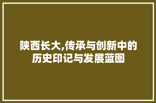 陕西长大,传承与创新中的历史印记与发展蓝图