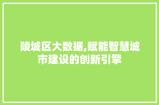 陵城区大数据,赋能智慧城市建设的创新引擎